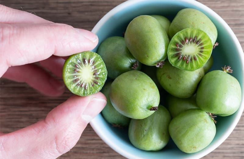images/1682670001494kiwi fruit sorting machine.jpg